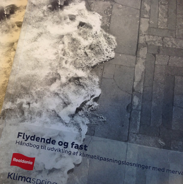 forside af publikation Flydende og Fast
